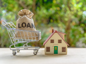 Understanding non-bank lenders